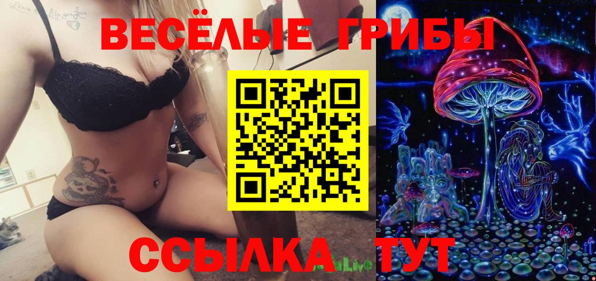 Галлюциногенные грибы мицелий  Вход с VPN  Ульяновск 