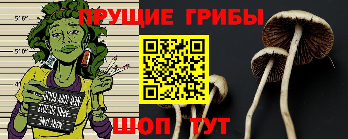 Галлюциногенные грибы прущие грибы Ульяновск